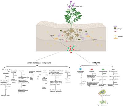 Active substances of myxobacteria against plant diseases and their action mechanisms